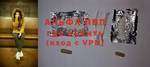 гашик Богданович