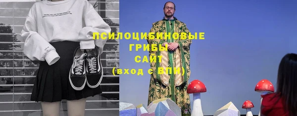 эйфоретик Бронницы