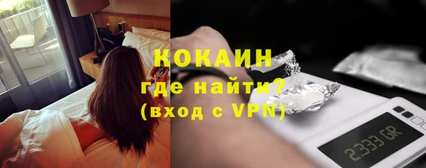 гашик Богданович
