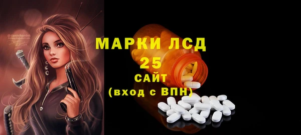 гашик Богданович