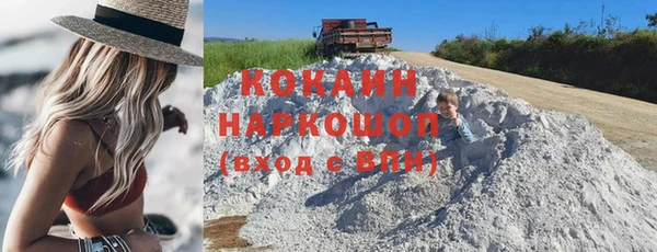 гашик Богданович