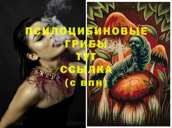 mix Туринск