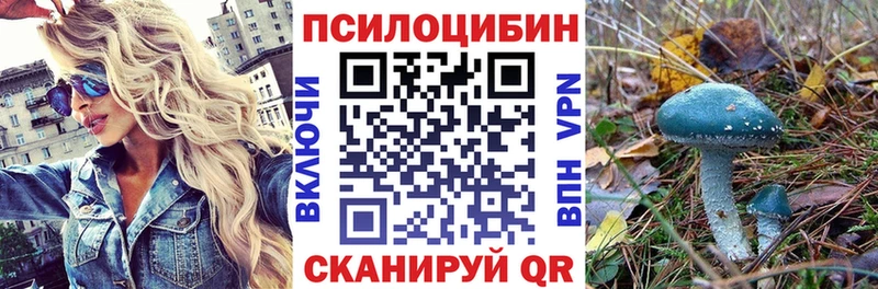 Псилоцибиновые грибы Magic Shrooms  Козельск 